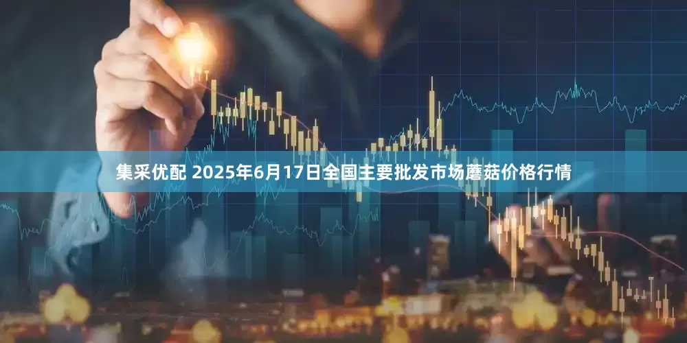 集采优配 2025年6月17日全国主要批发市场蘑菇价格行情